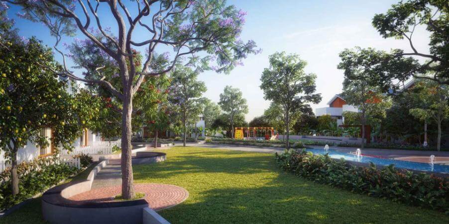 NVT Symphony of Orchards