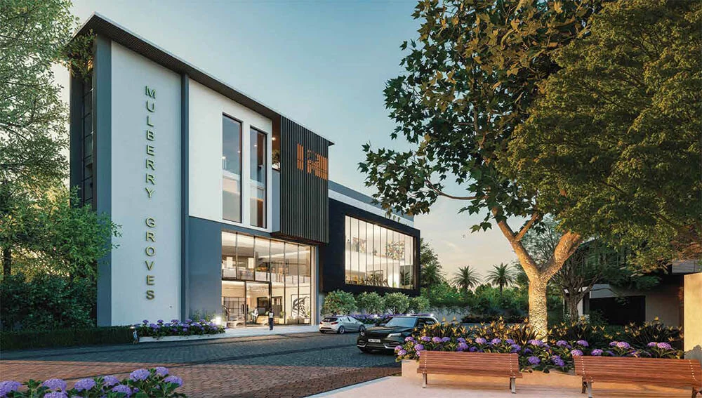 Saiven Mulberry Groves