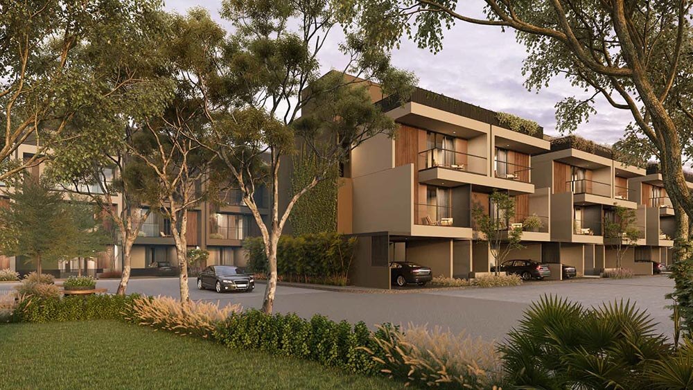 Arvind Forest Trails