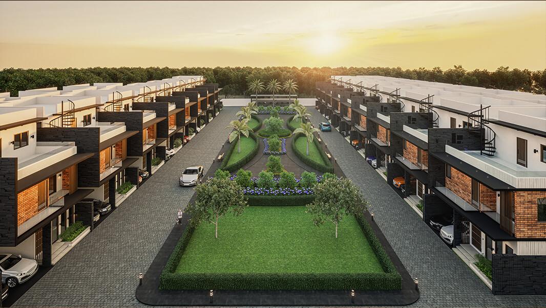 Saiven Mulberry Groves