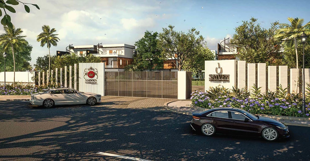 Saiven Mulberry Groves