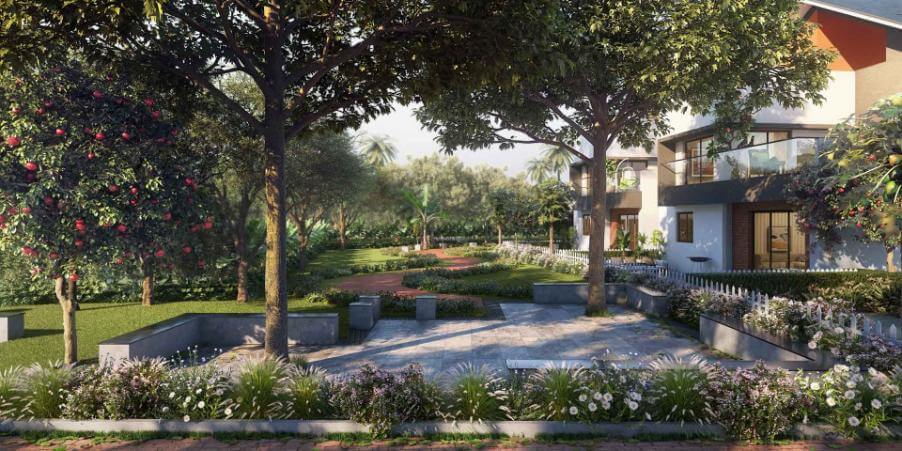 NVT Symphony of Orchards