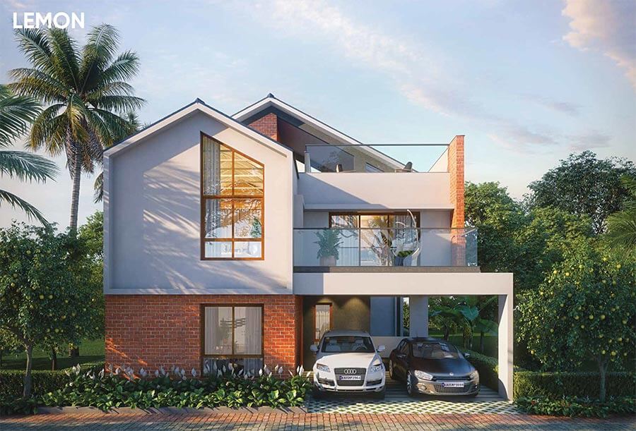 NVT Symphony of Orchards