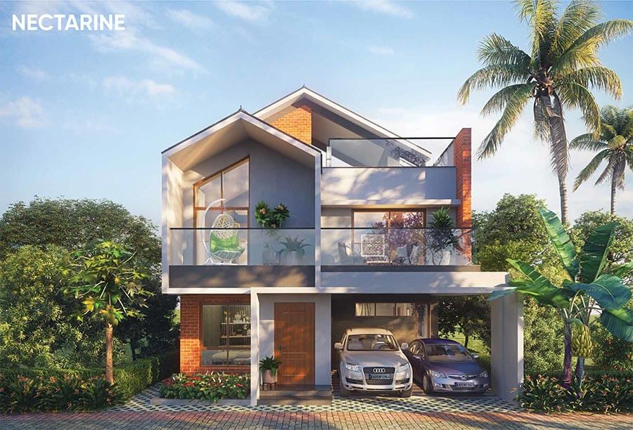 NVT Symphony of Orchards