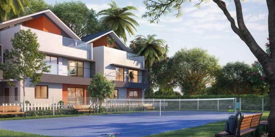 NVT Symphony of Orchards