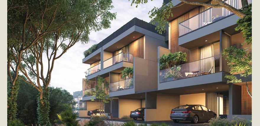 Arvind Forest Trails