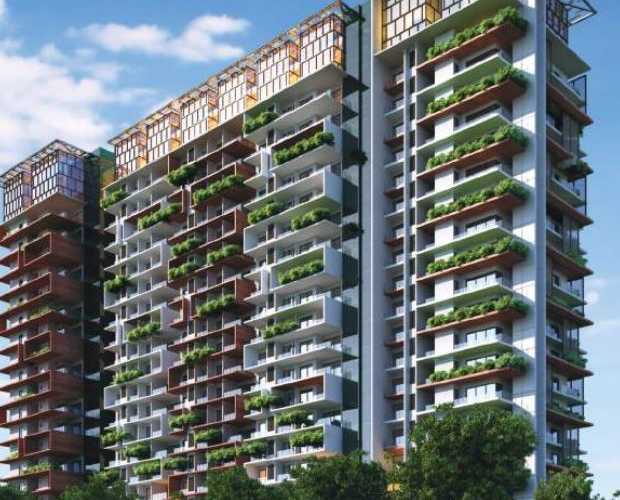 Piccassso in Jayanagar by House Choice